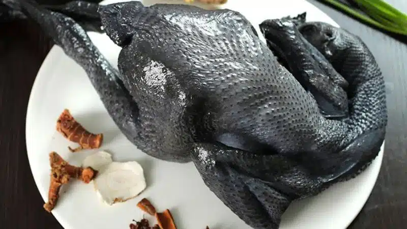 Hướng Dẫn Kỹ Thuật Nuôi Gà Ác Tại nhà Đạt Năng Suất Cao