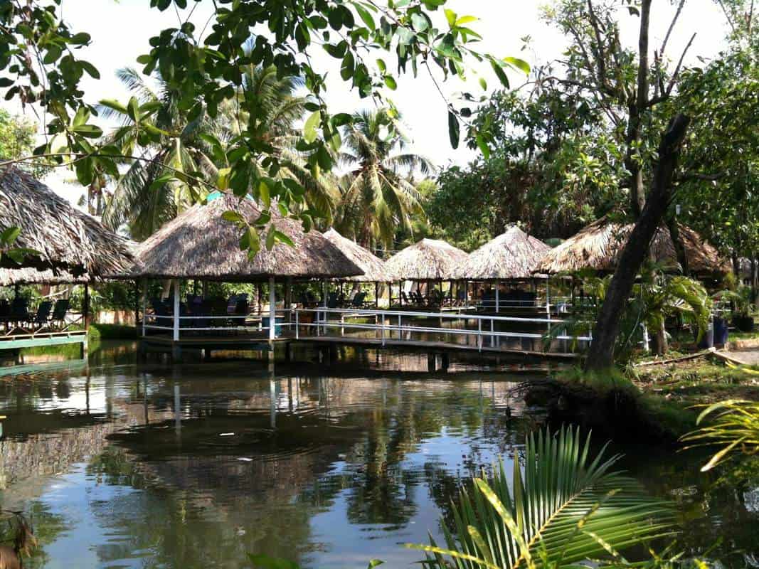 TOP 15 Quán Cháo Vịt Sài Gòn Ngon, Hấp Dẫn Giá Bình Dân